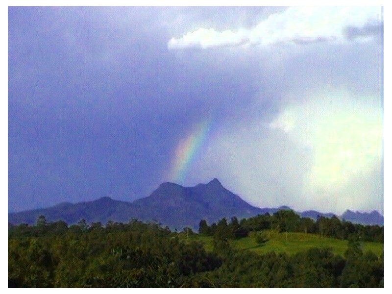 1163 Williams Road, Lillian Rock NSW 2480