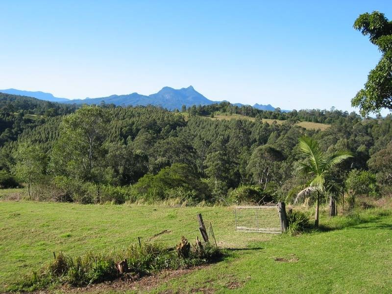 1163 Williams Road, Lillian Rock NSW 2480