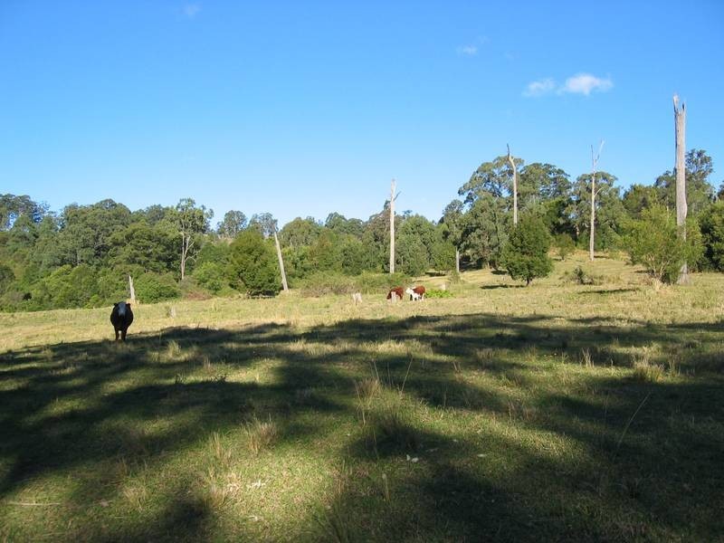 1163 Williams Road, Lillian Rock NSW 2480