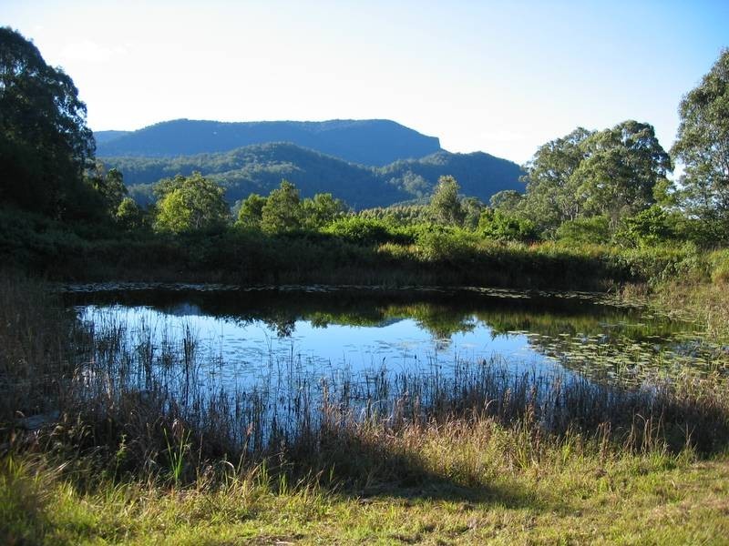 1163 Williams Road, Lillian Rock NSW 2480