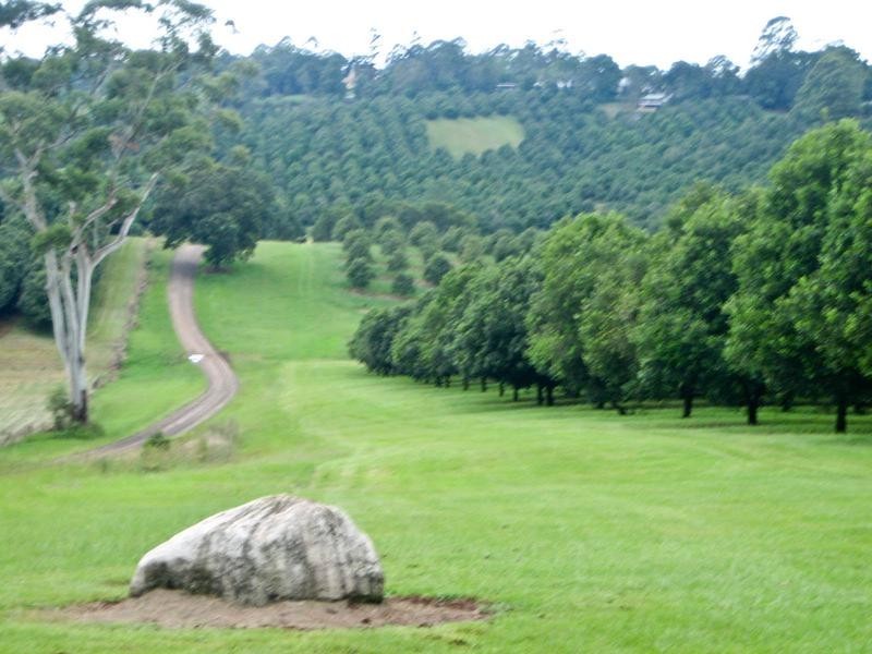 49 Munro Road, Dunoon NSW 2480