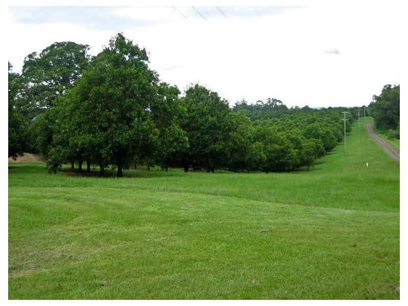 49 Munro Road, Dunoon NSW 2480