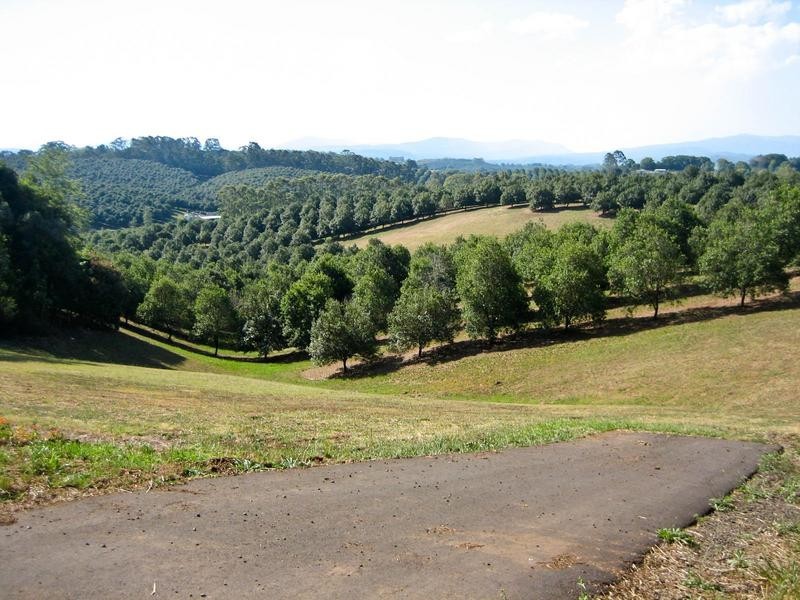 49 Munro Road, Dunoon NSW 2480