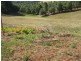 6 Munro Road, Dunoon NSW 2480