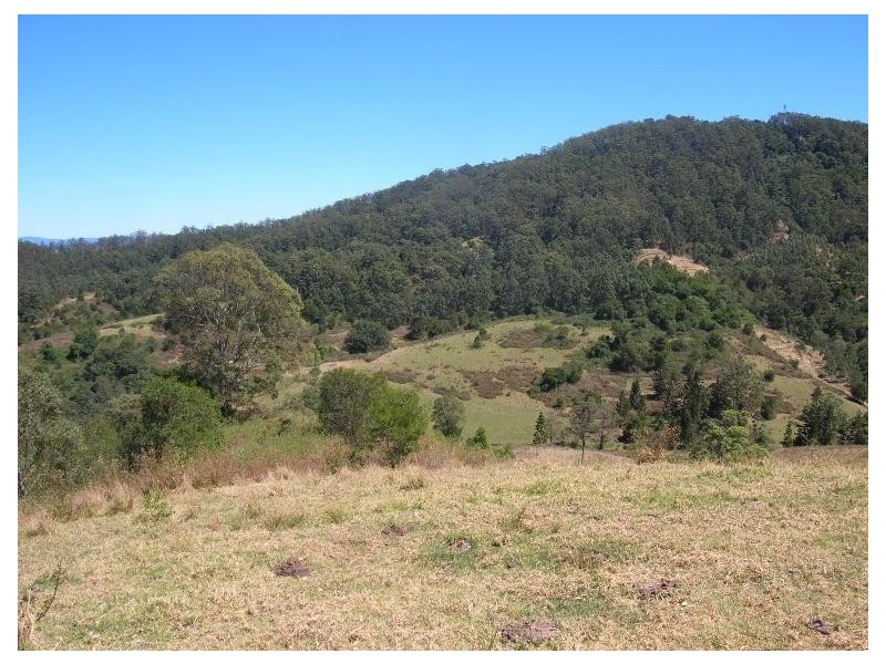 Lot 2 Sargents Road, Cawongla NSW 2474