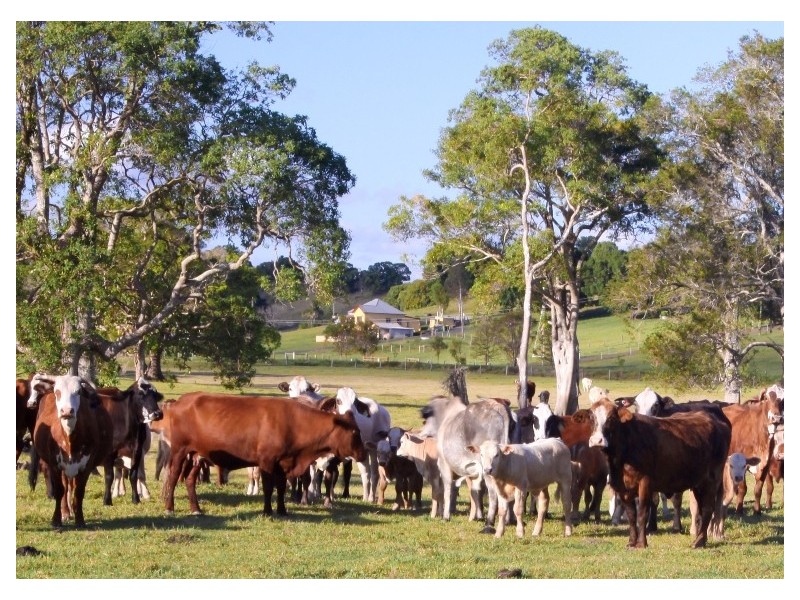 304 Riverbank Road, Lismore NSW 2480