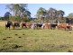 304 Riverbank Road, Lismore NSW 2480