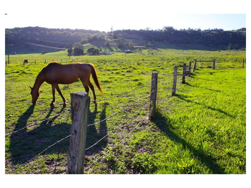 77 Dunoon Road, Lismore NSW 2480