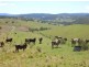 Lot 571 Afterlee Road, Kyogle NSW 2474