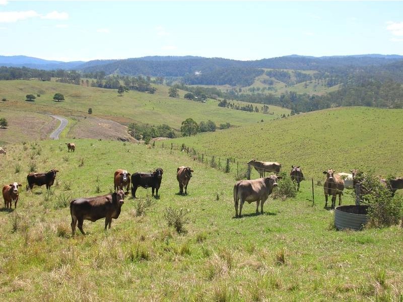 Lot 571 Afterlee Road, Kyogle NSW 2474