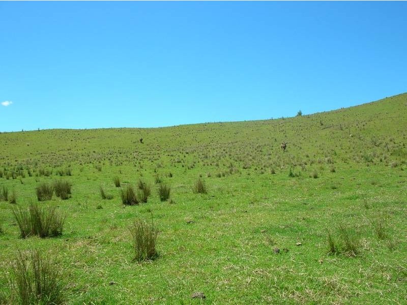 Lot 571 Afterlee Road, Kyogle NSW 2474