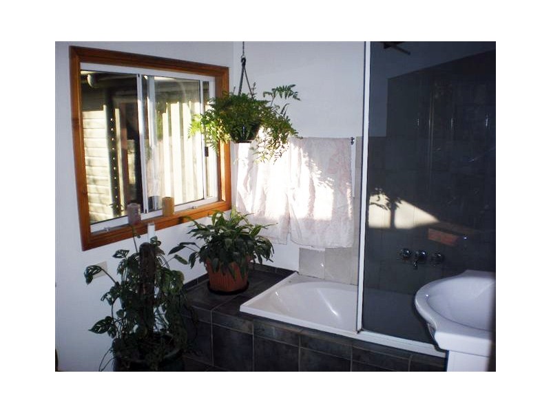 52 Terania Street, The Channon NSW 2480