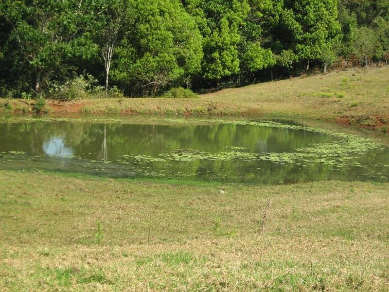 57 Ashlin Road, Whian Whian NSW 2480