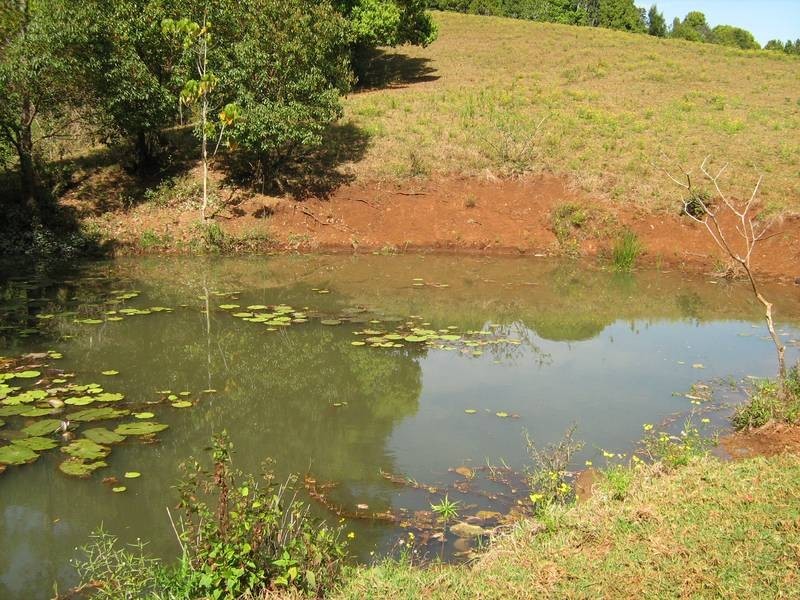 57 Ashlin Road, Whian Whian NSW 2480