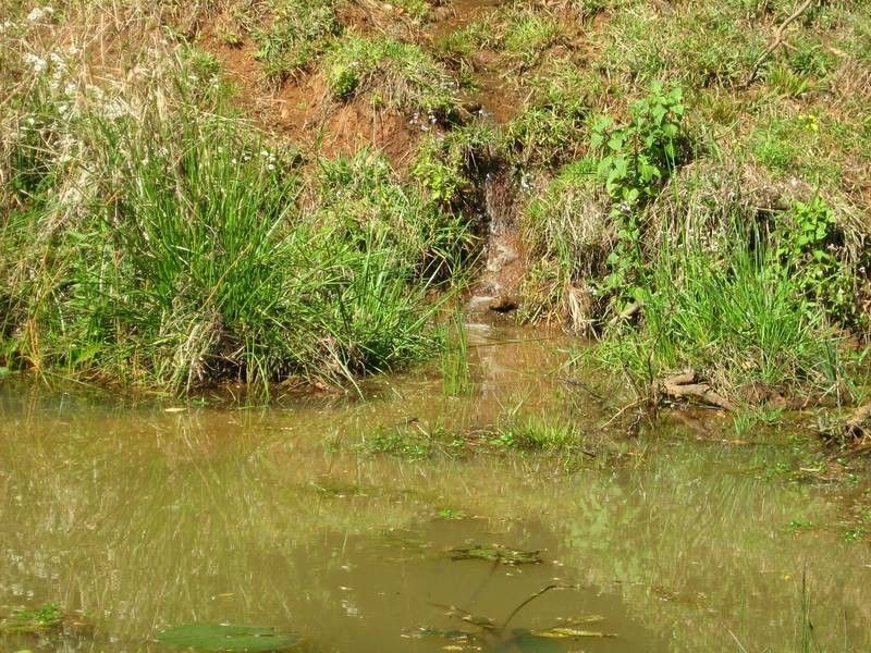 57 Ashlin Road, Whian Whian NSW 2480