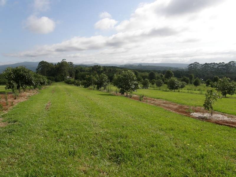 57 Ashlin Road, Whian Whian NSW 2480