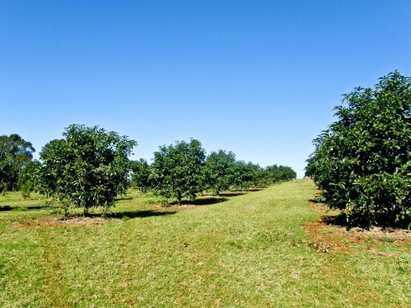 57 Ashlin Road, Whian Whian NSW 2480