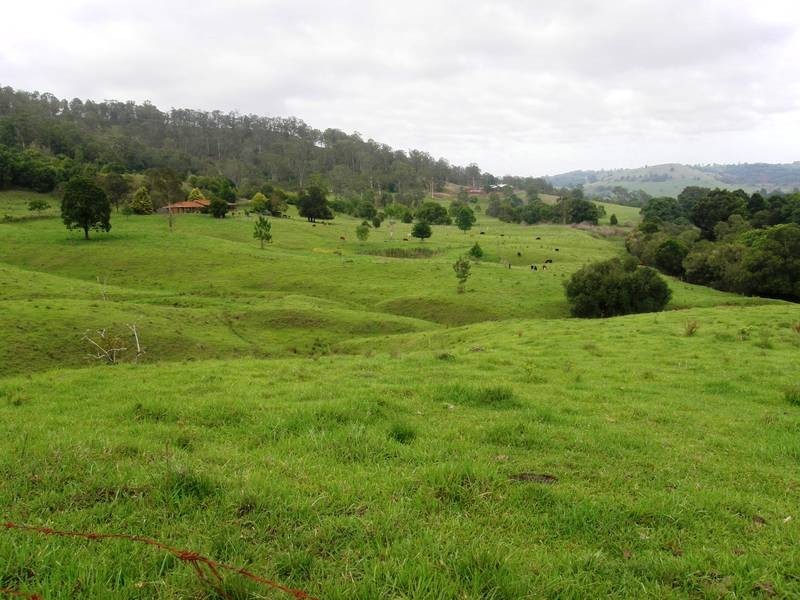 1405 Keerrong Road, The Channon NSW 2480