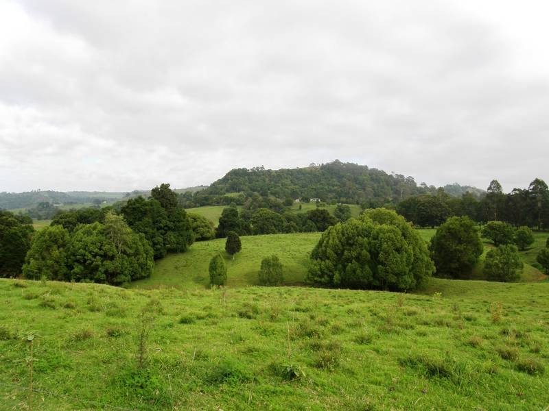 1405 Keerrong Road, The Channon NSW 2480