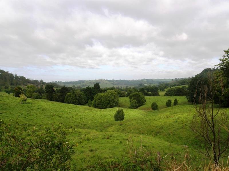 1405 Keerrong Road, The Channon NSW 2480