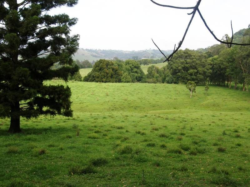 1405 Keerrong Road, The Channon NSW 2480