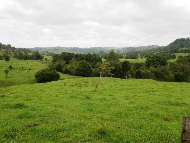 1405 Keerrong Road, The Channon NSW 2480