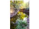 Lismore NSW 2480