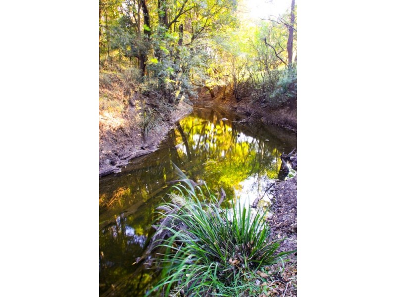 Lismore NSW 2480