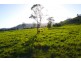 Lismore NSW 2480