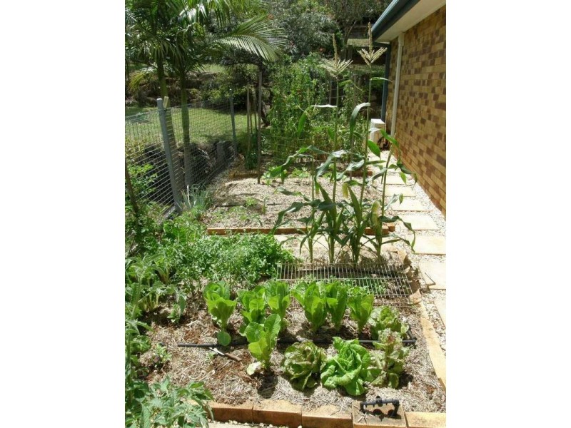 25 Dudley Drive, Goonellabah NSW 2480