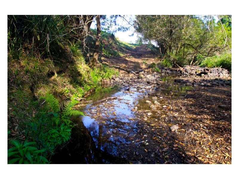 801 Jiggi Road, Jiggi NSW 2480