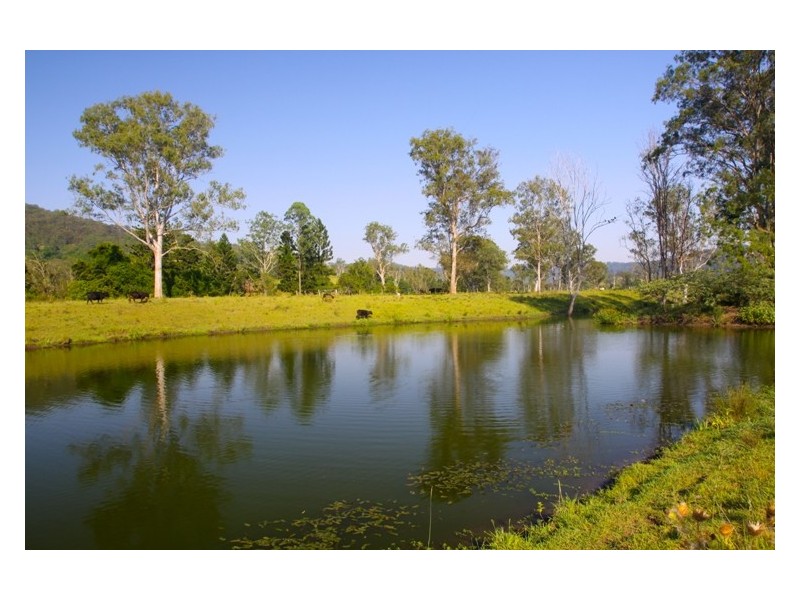 801 Jiggi Road, Jiggi NSW 2480