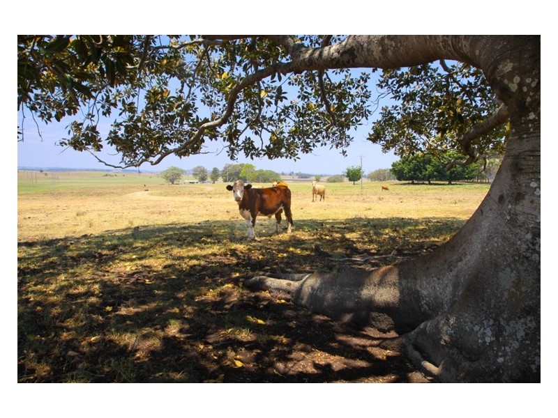 1 Auckram Road, Mckees Hill NSW 2480