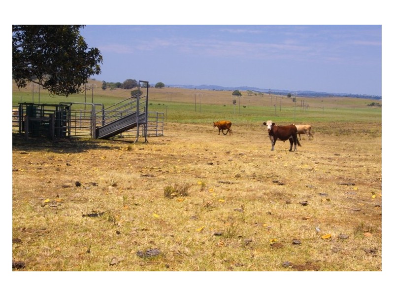 1 Auckram Road, Mckees Hill NSW 2480