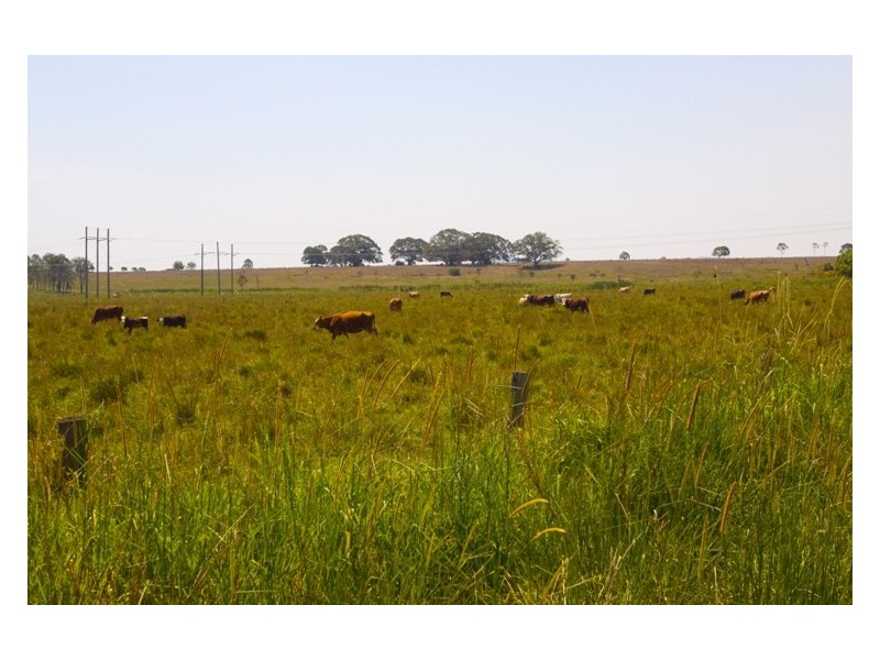 1 Auckram Road, Mckees Hill NSW 2480