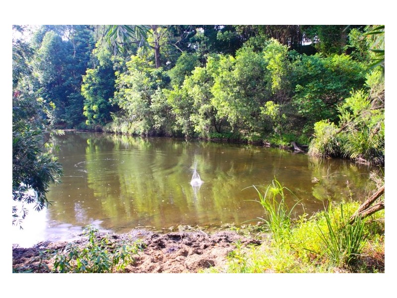 Rock Valley NSW 2480