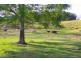 Rock Valley NSW 2480
