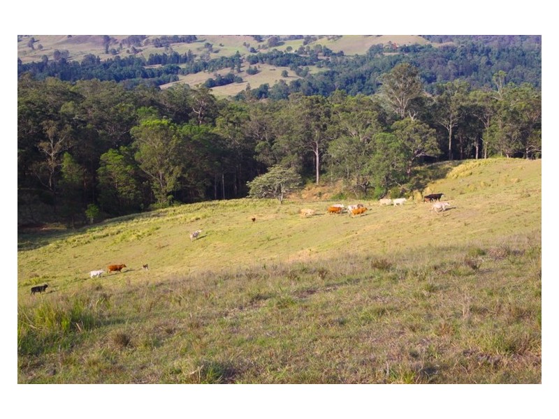 Rock Valley NSW 2480