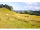 Rock Valley NSW 2480