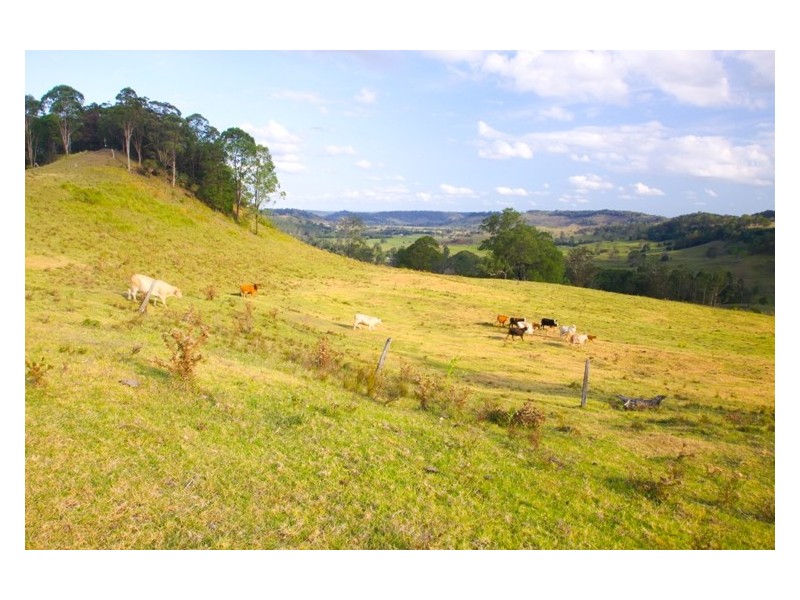 Rock Valley NSW 2480