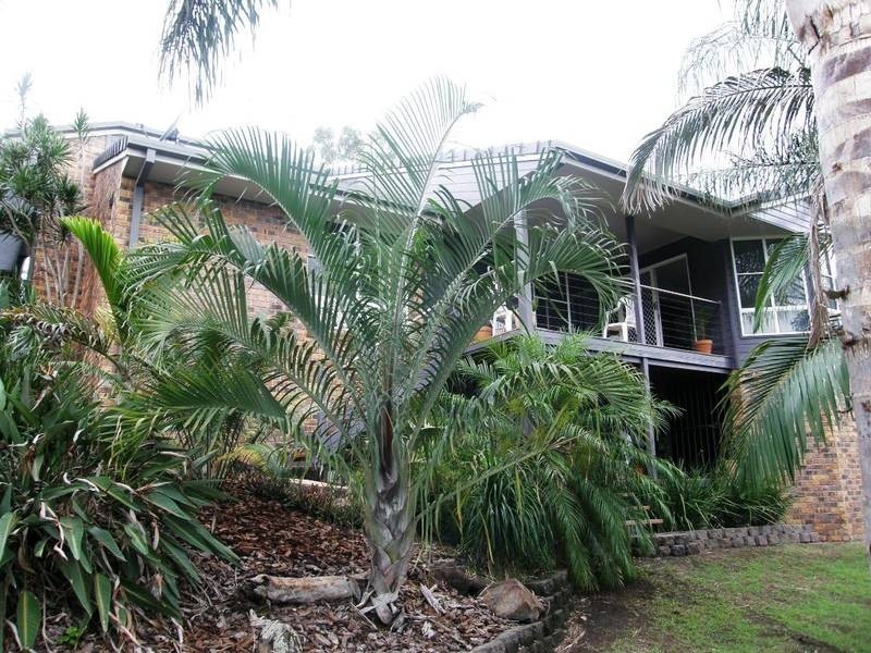 30 Pendara Crescent, Lismore Heights NSW 2480