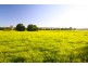 419 Bangalow Road, Lismore NSW 2480