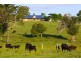 419 Bangalow Road, Lismore NSW 2480