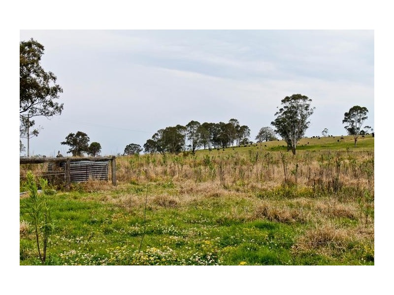 1290 Ellangowan Road, Casino NSW 2470