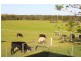 933 Bruxner Highway, Mckees Hill NSW 2480