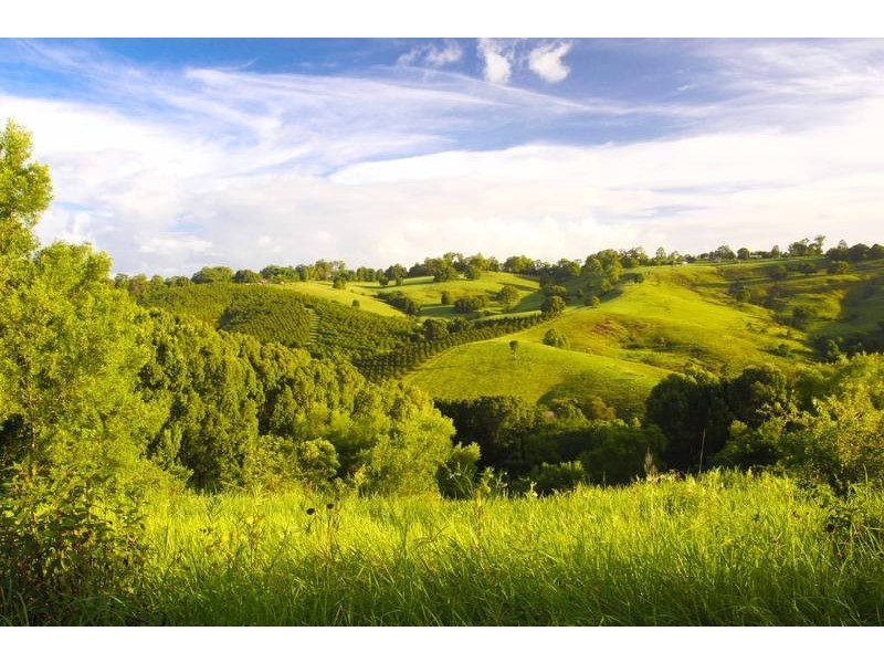 109 The Channon Road, Dunoon NSW 2480