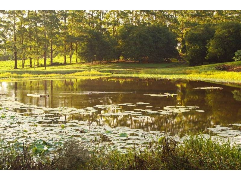 109 The Channon Road, Dunoon NSW 2480