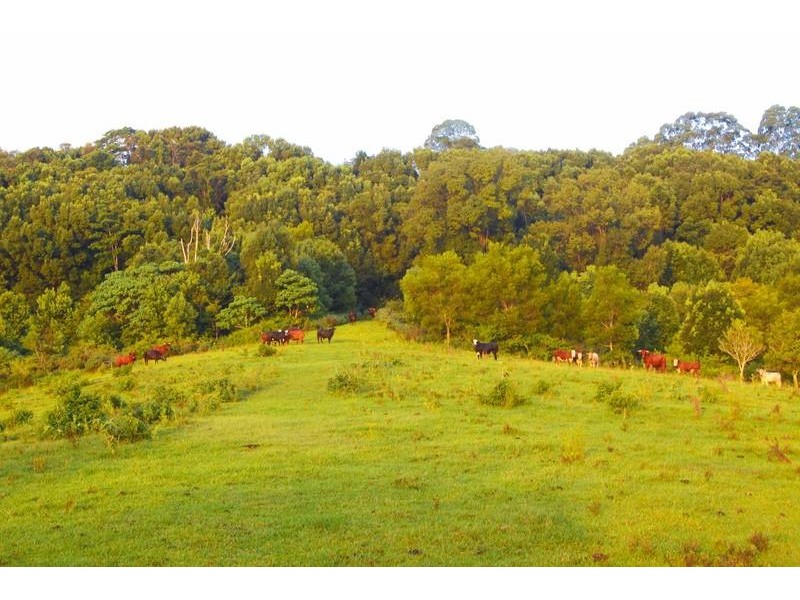 109 The Channon Road, Dunoon NSW 2480