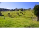 445 Cosy Camp Road, Corndale NSW 2480