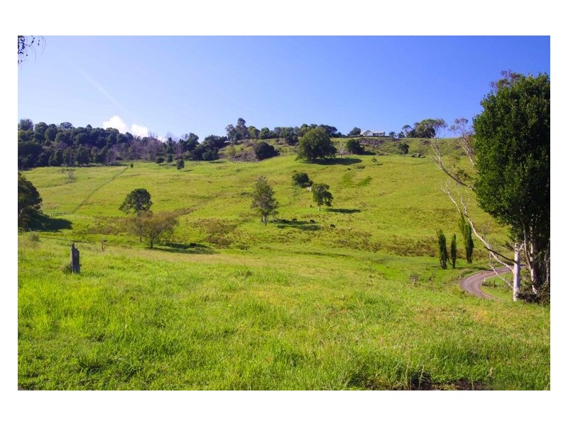445 Cosy Camp Road, Corndale NSW 2480